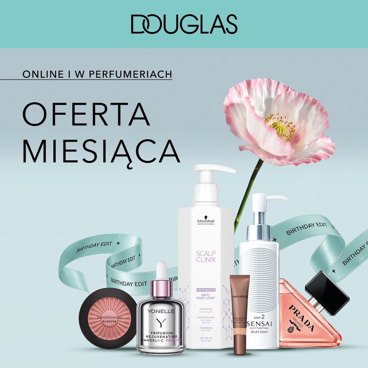 Oferta Miesiąca